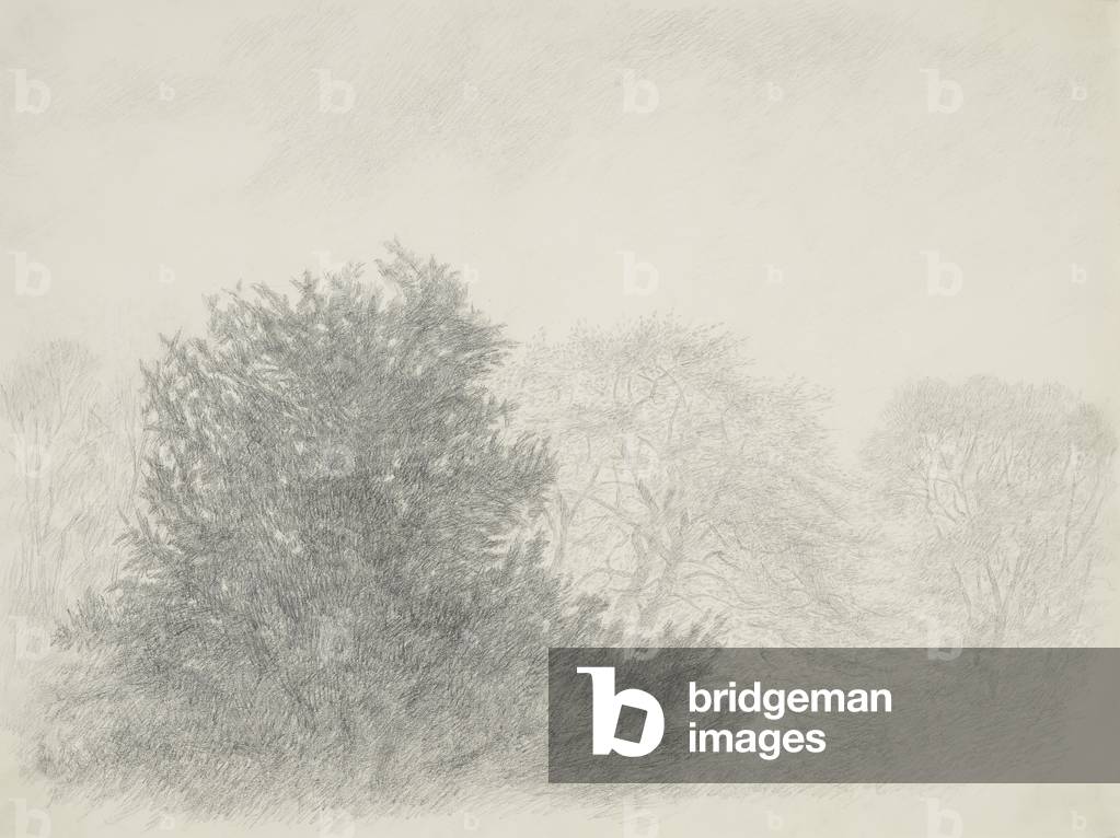 Trees and Sky, 1968 (drawing)