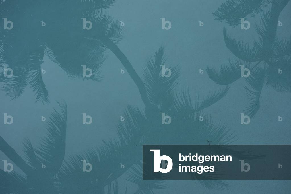 The house of Ernest Hemingway, 2014