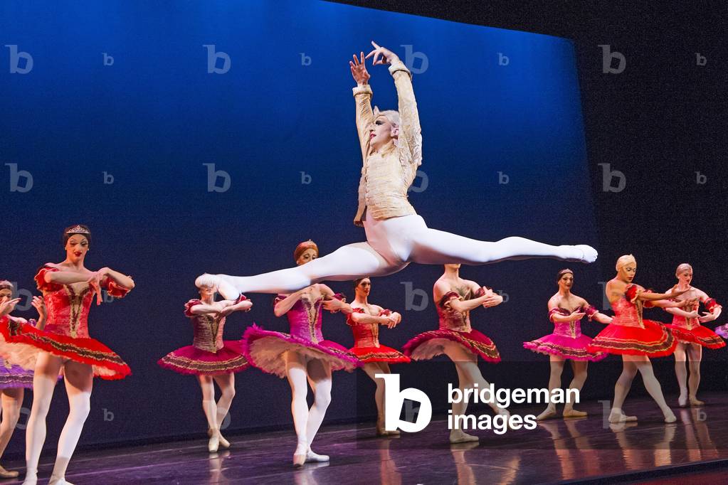 Les Ballets Trockadero de Monte Carlo (photo)