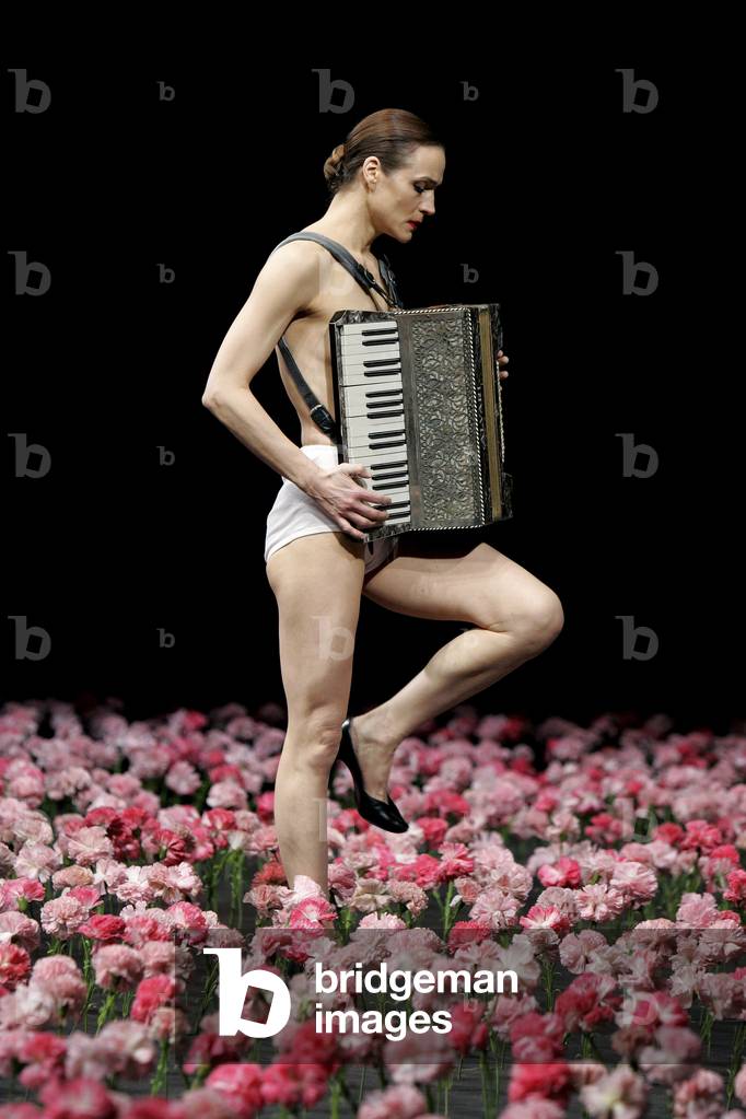 Nelken - scene from (photo)