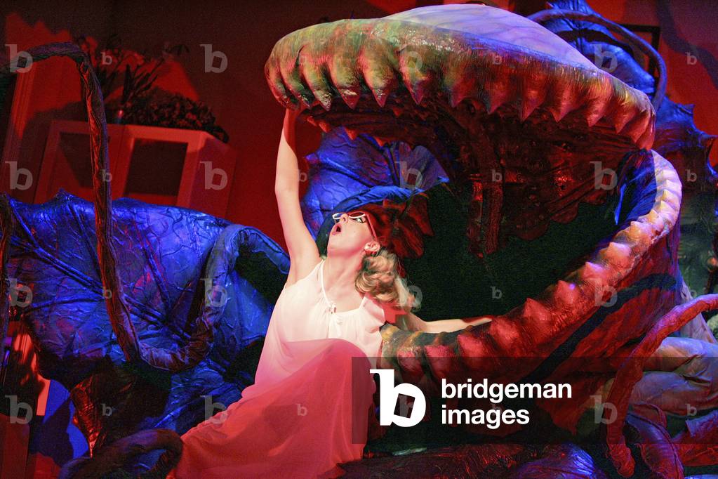 Little Shop of Horrors (photo)