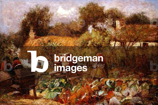 Beehives, Carlton, Lancs., 1896