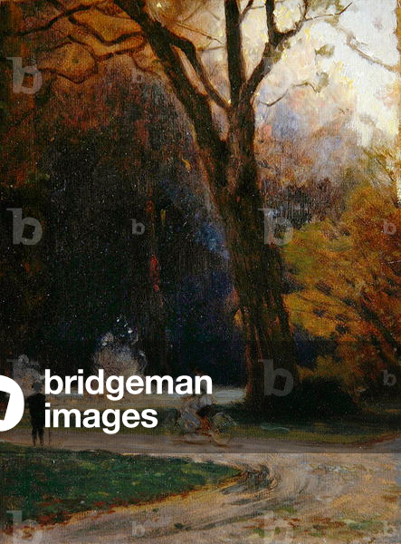 Cyclist in the Karlsaue Park, Kassel (oil on cardboard)