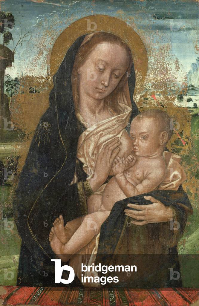 la vergine maria quieting il bambino Gesù, dopo 1476 (olio su tela)
