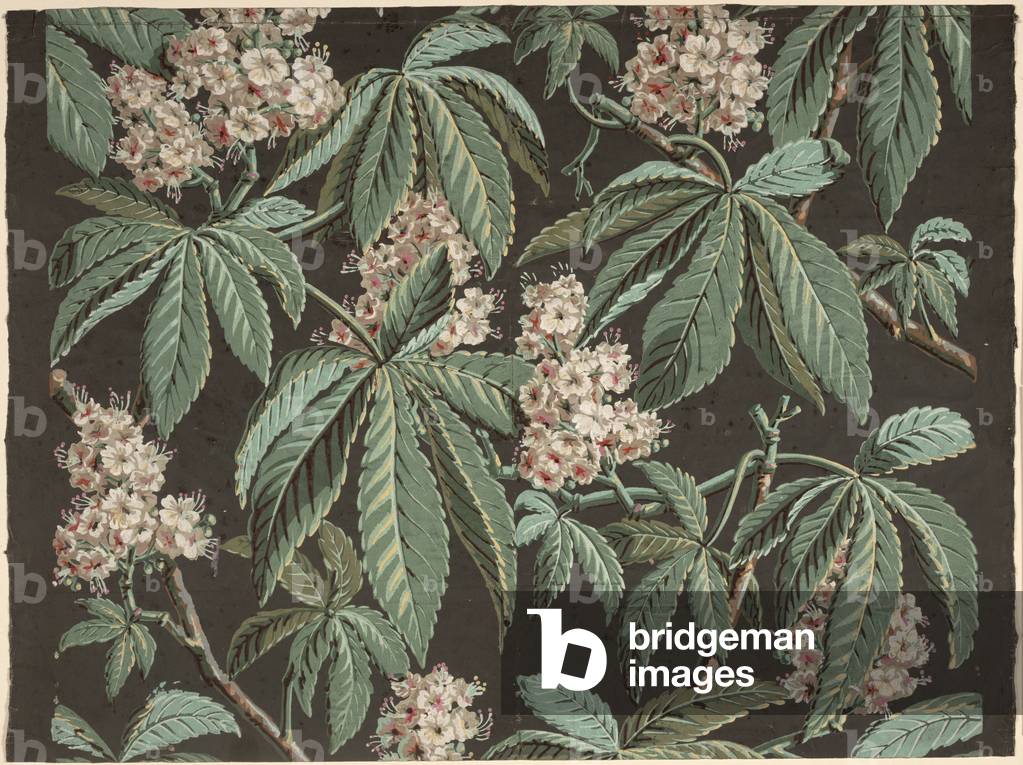 Wallpaper design with Chestnut Branch (detail) ca. 1810, manufactured by Josef Dufour (1752-1827), Paris,