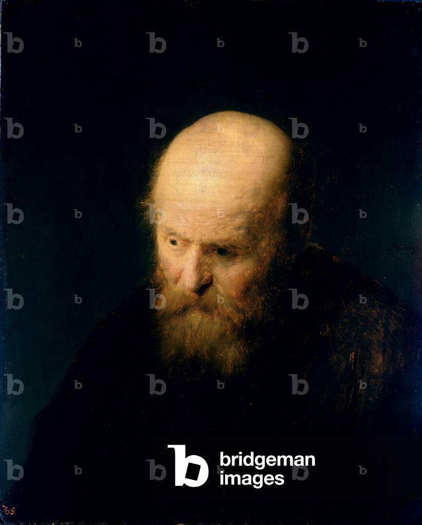 Head of a Bald, Old Man, 1632 (oil on panel)