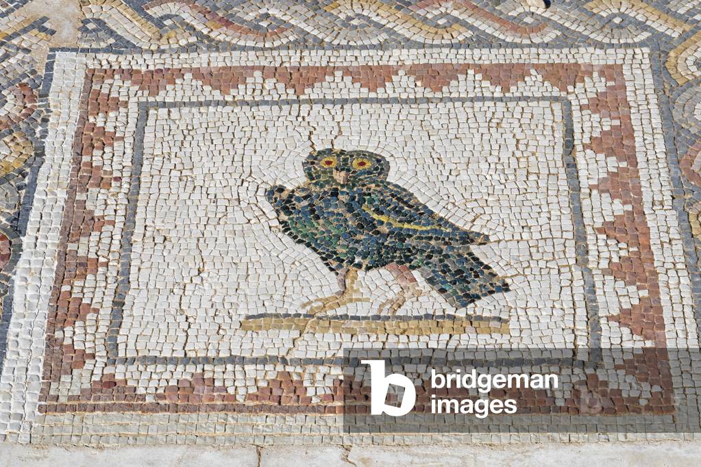 Mosaics in the Casa de los Pajaros - The House of the Birds, Roman city of Italica, near Santiponce, Seville Province, Andalusia, Spain (photo)