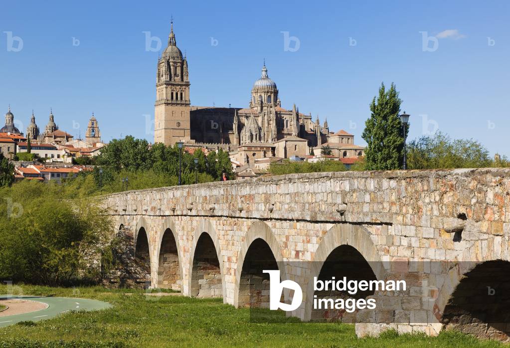 Salamanca, Salamanca Province, Spain. Cathedral seen beyond Roman bridge over Tormes River. (photo)