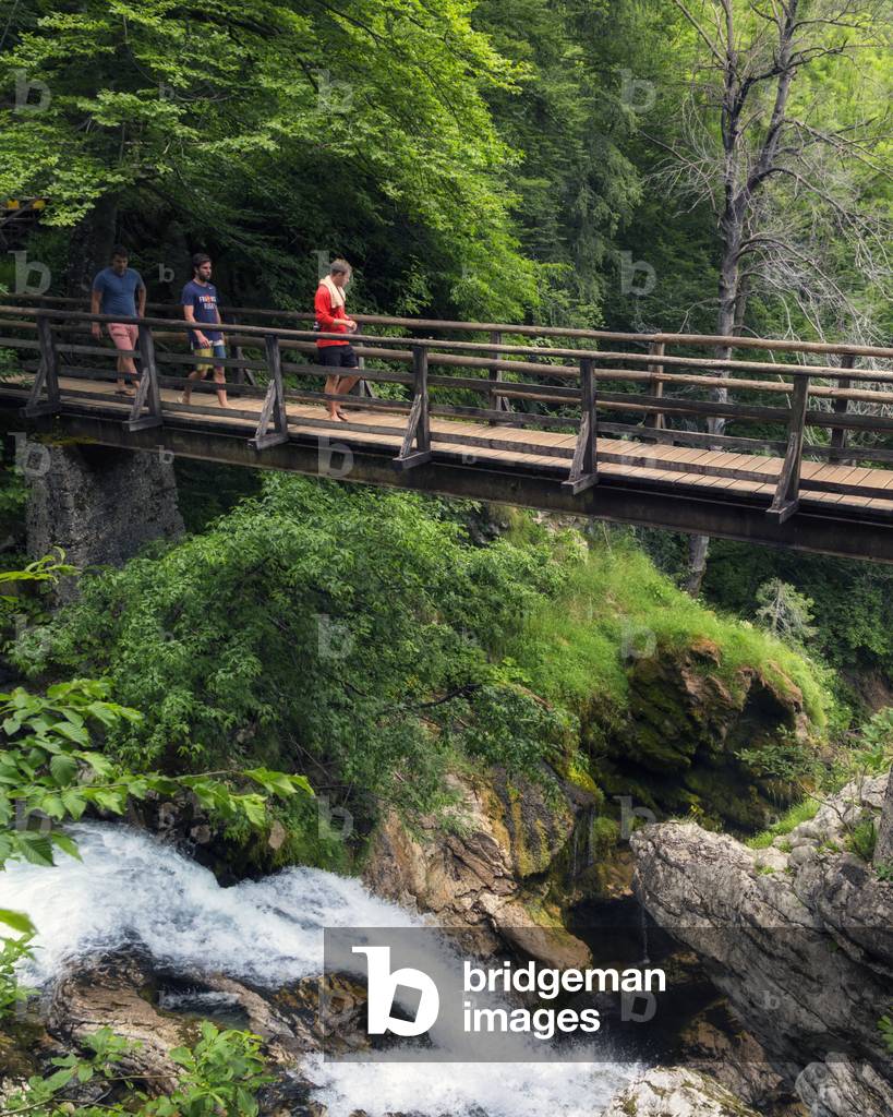 Vintgar Gorge, Slovenia (photo)