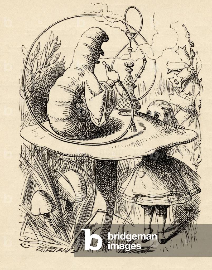 Immagine di Libro "Consigli da un bruco", 1891 di John Tenniel, b/w