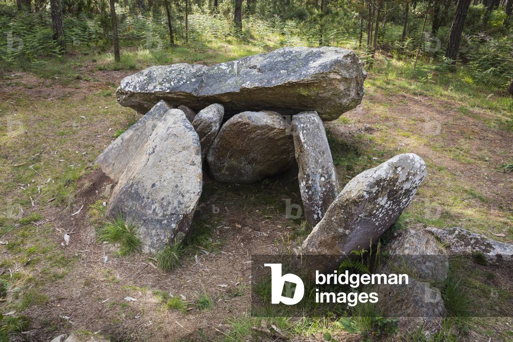 Pedra de Arca dolmen, Galicia (photo)