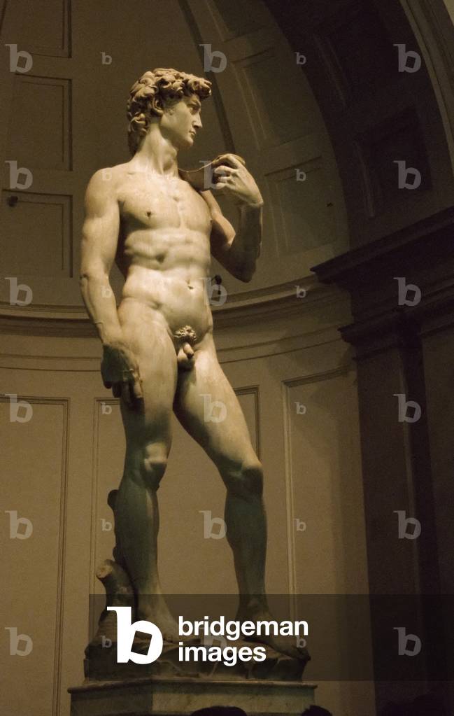 Florence Tuscany Italy David by Michaelangelo in Galleria dell´Accademia