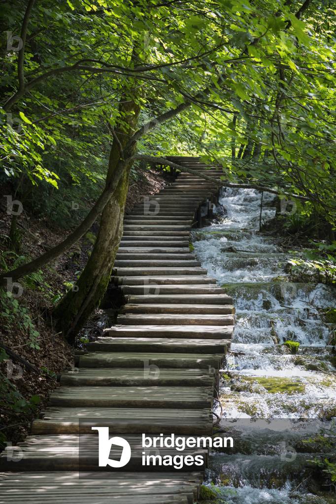 Example of wooden walkways which criss-cross the park, Plitvice Lakes National Park, Lika-Senj County & Karlovac County, Croatia (photo)