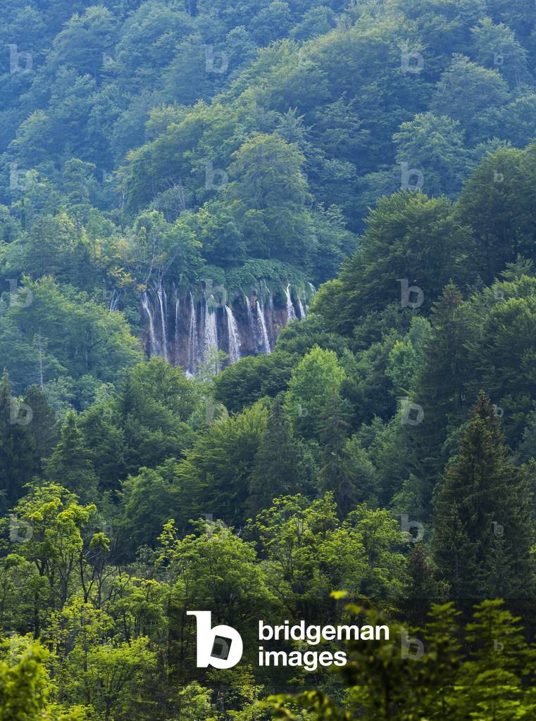 Waterfalls within the park seen from the distance across heavily wooded hills, Plitvice Lakes National Park, Lika-Senj County & Karlovac County, Croatia, Lakeside (photo)