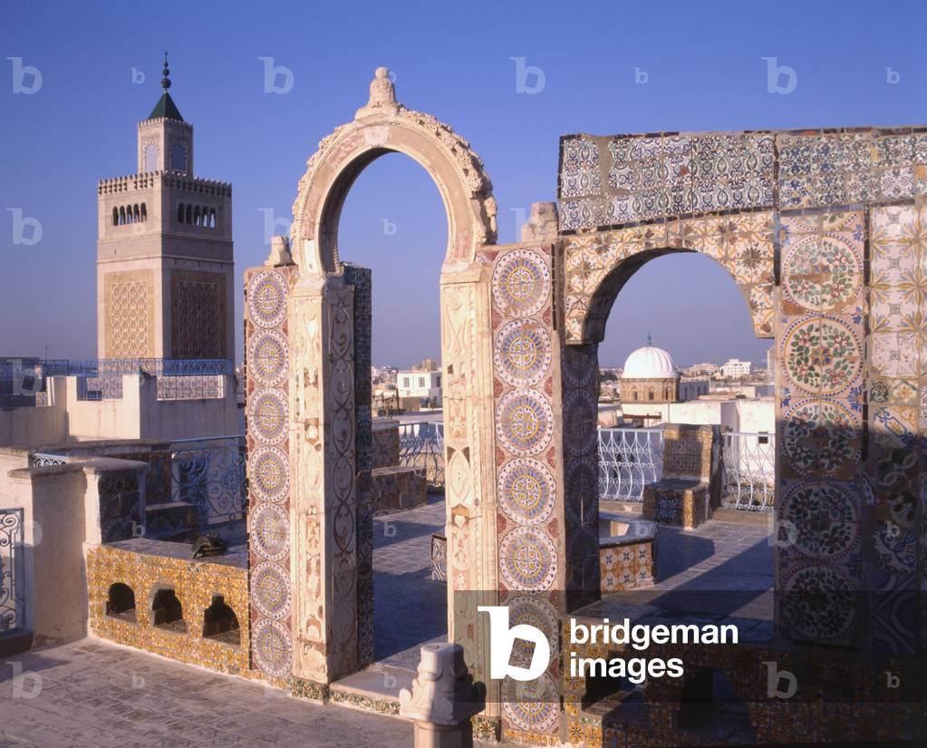 View of Tunis from the Palais d'Orient (photo)