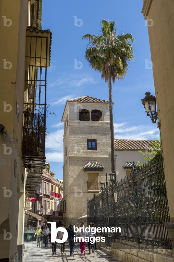 Picasso Museum, Malaga, Costa del Sol, Spain, 2014 (photo)