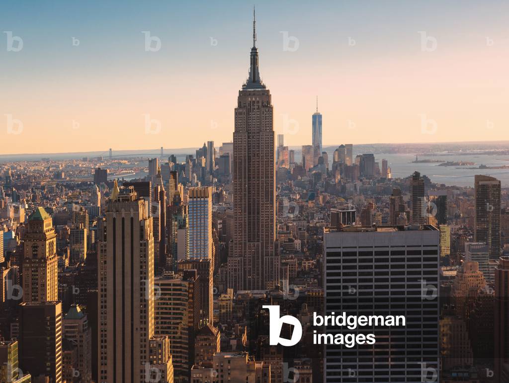 Empire State building, New York City, USA  (photo)