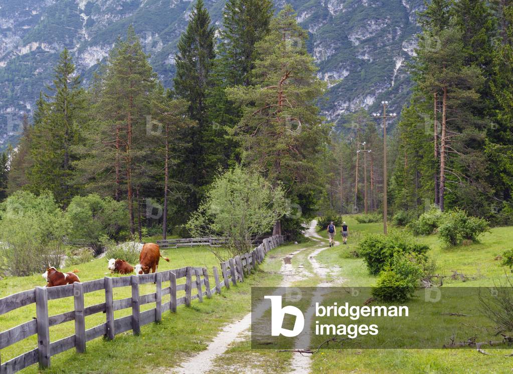 Hikers near Lago di Landro, Italy (photo)