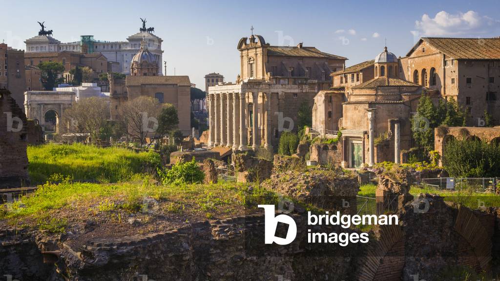 Roman Forum, Rome, Italy