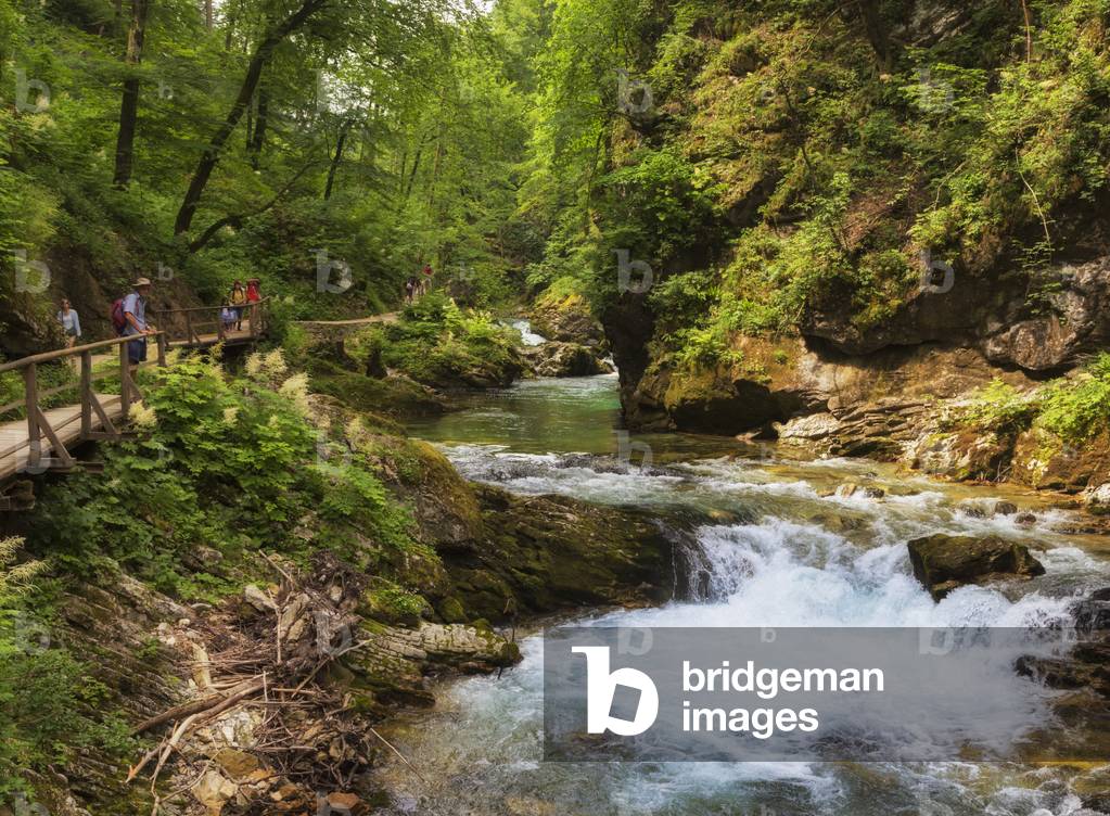 Visitors walking on wooden walkways which run the length of the Vintgar Gorge near Bled, Triglav, National Park, Upper Carniola, Slovenia (photo)