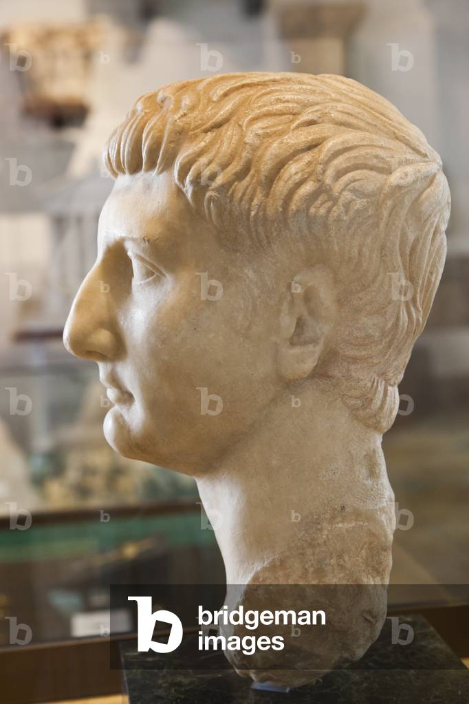 Bust of Drusus Minor aka Drusus II, 13 BC - 23 AD