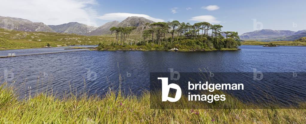 Pines Island in Derryclare Lough, Connemara, County Galway, Republic of Ireland, Eire (photo)