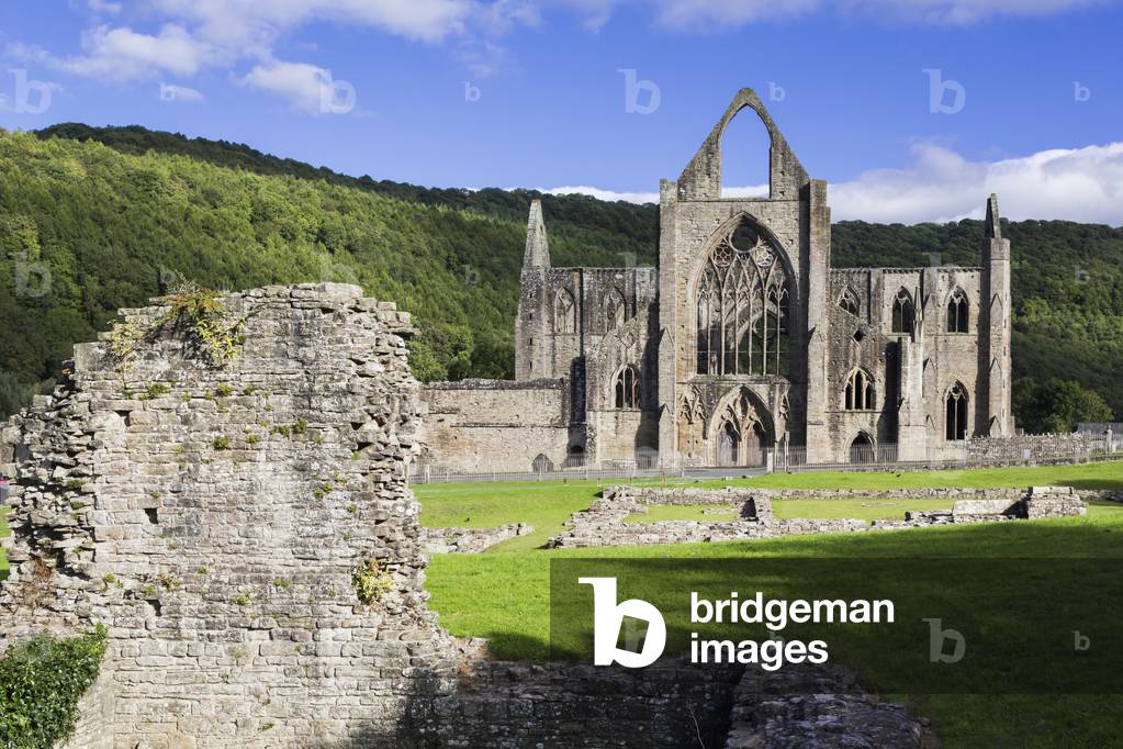 Tintern Abbey, Wales, United Kingdom (photo)