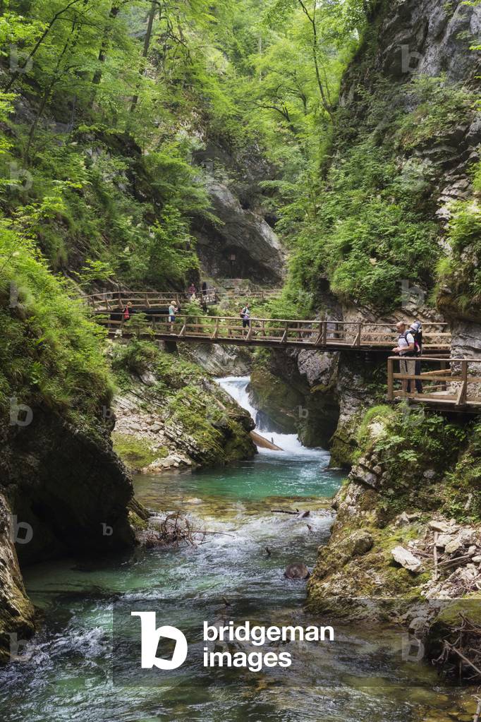 Visitors walking on wooden walkways which run the length of the Vintgar Gorge near Bled, Triglav, National Park, Upper Carniola, Slovenia (photo)