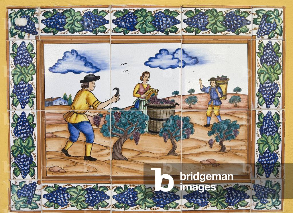 Modern Spanish ceramic tiles in style of 17th or 18th century showing vineyard workers cutting bunches of grapes
