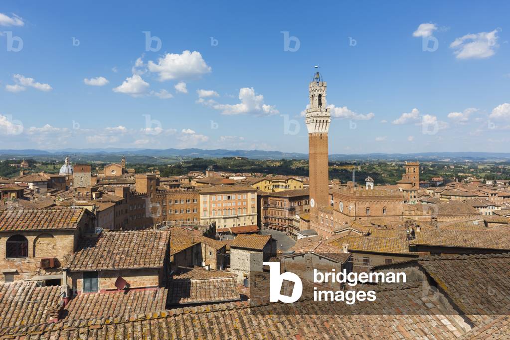 Siena, Italy. Torre del Mangia. (photo)