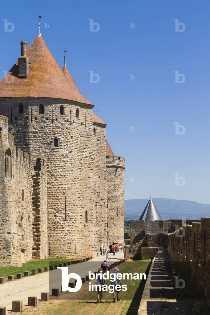 Carcassonne, France (photo)
