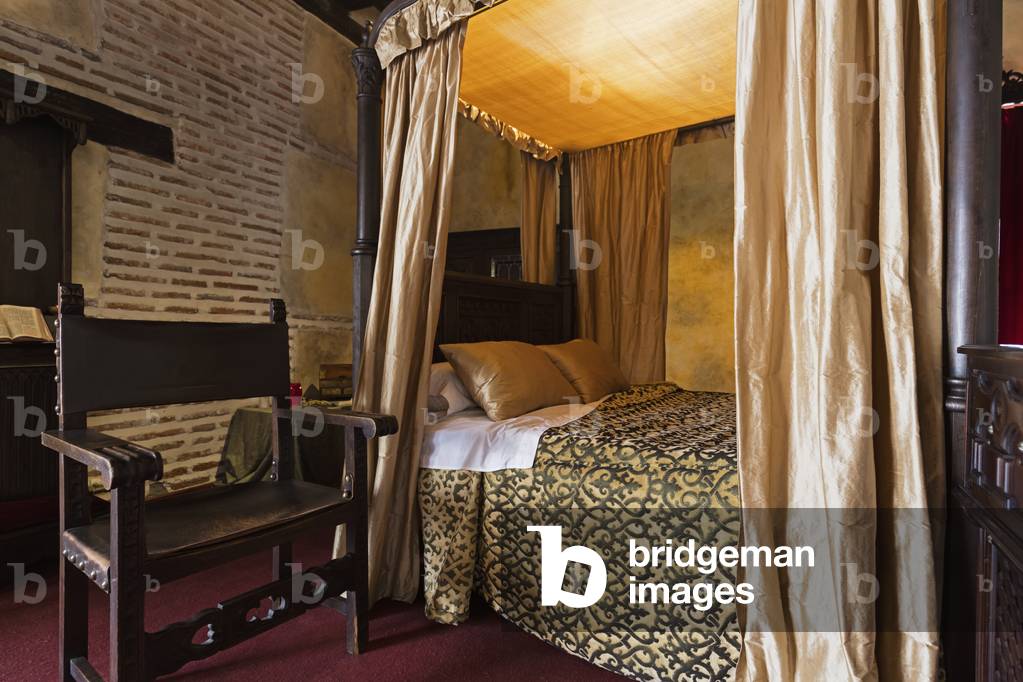 Palacio Real Testamentario in Medina del Campo, Valladolid Province, Castile and Leon, Spain (photo)