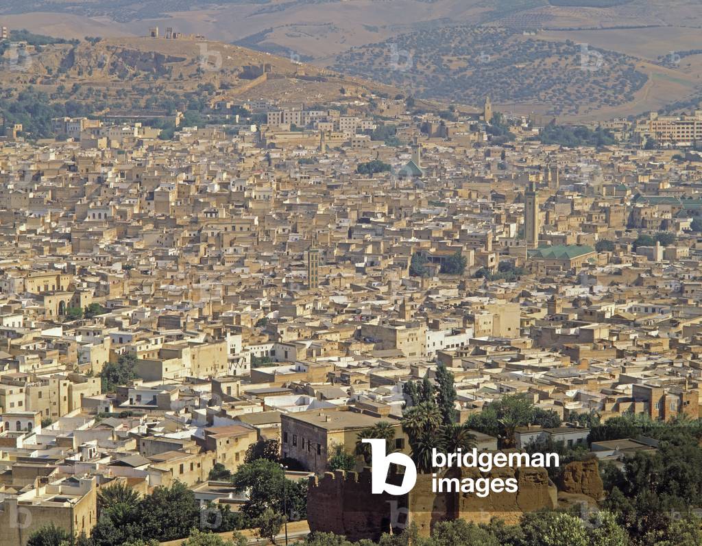 Luftaufnahme der Stadt (Foto)