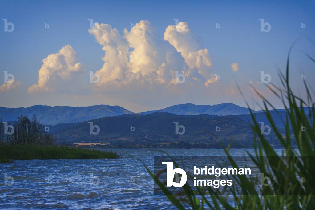 Lake Trasimeno, Perugia Province, Umbria, Italy (photo)