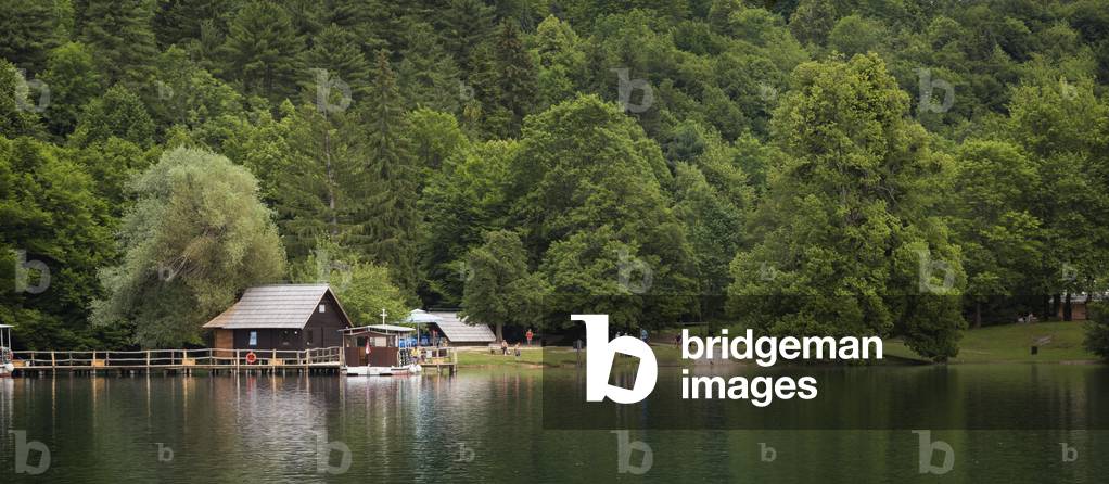 One of the 16 lakes in the park, Electric ferries leave on excursions from here, Plitvice Lakes National Park, Lika-Senj County & Karlovac County, Croatia, Lakeside (photo)
