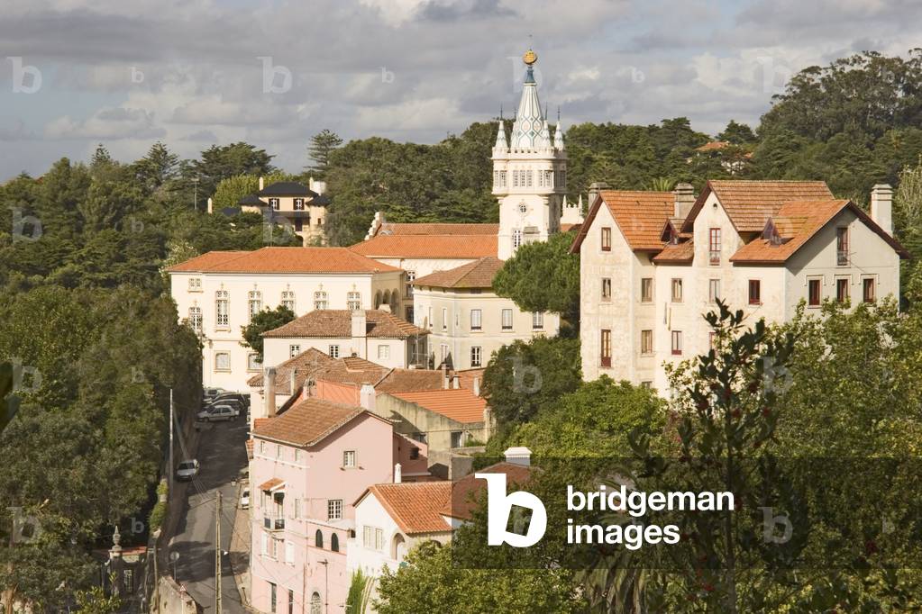 View of the town (photo)