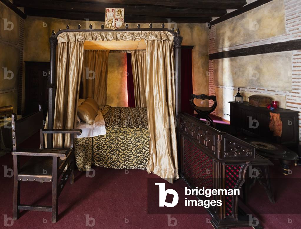 Palacio Real Testamentario in Medina del Campo, Valladolid Province, Castile and Leon, Spain (photo)