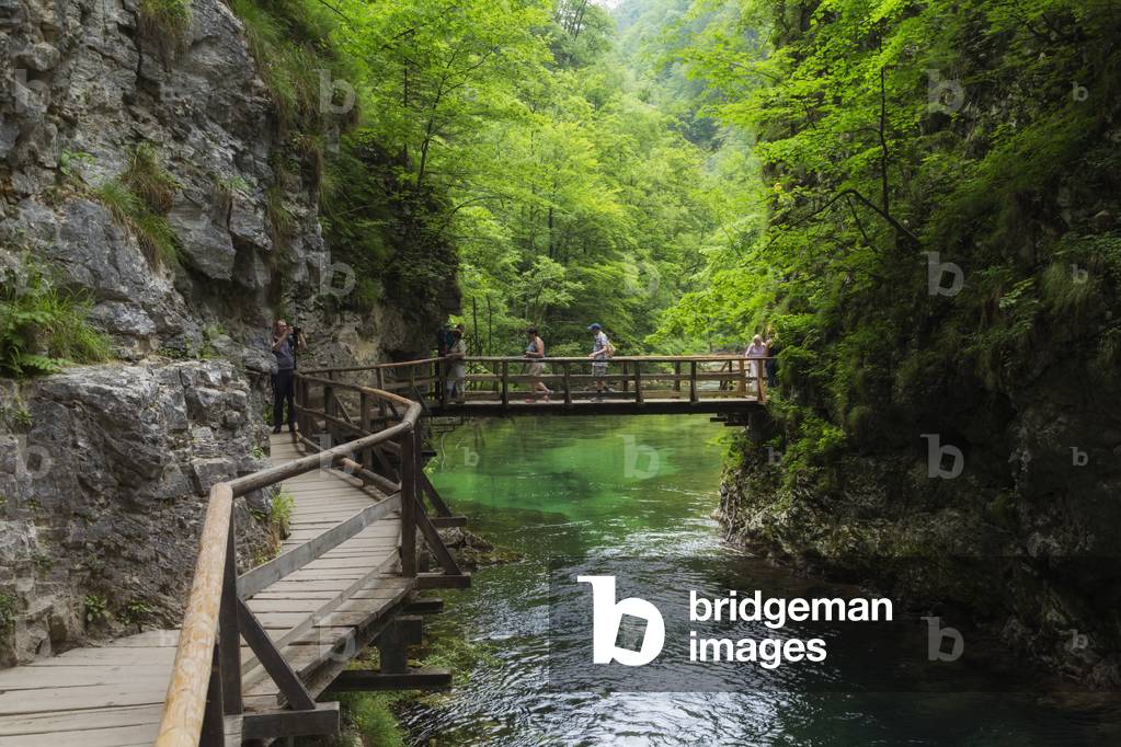 Visitors walking on wooden walkways which run the length of the Vintgar Gorge near Bled, Triglav, National Park, Upper Carniola, Slovenia (photo)