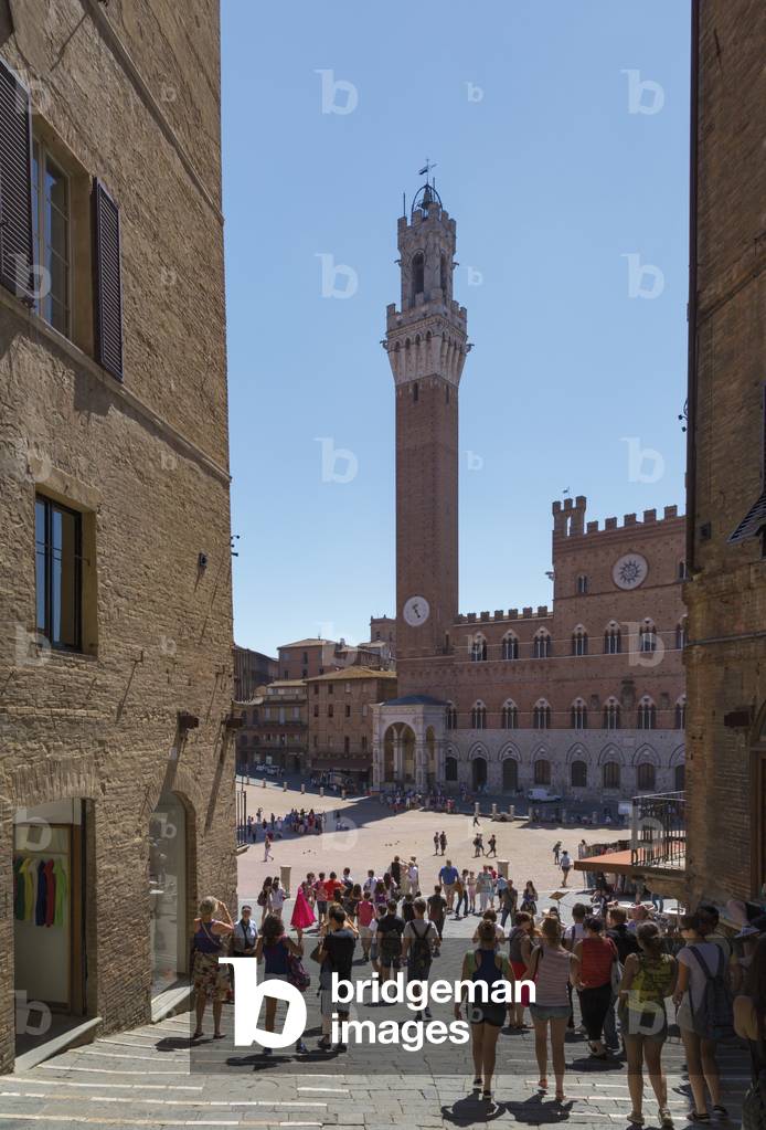 Piazza del Campo, Siena, Tuscany, Italy  (photo)