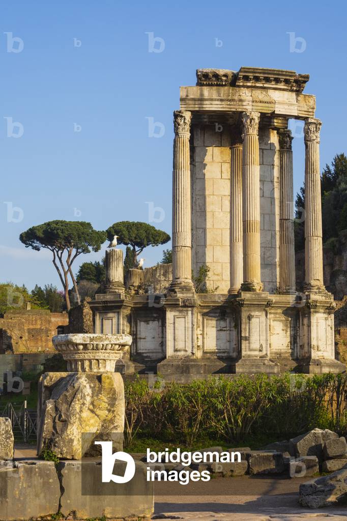 Roman Forum. Temple of Vesta, Rome, Italy