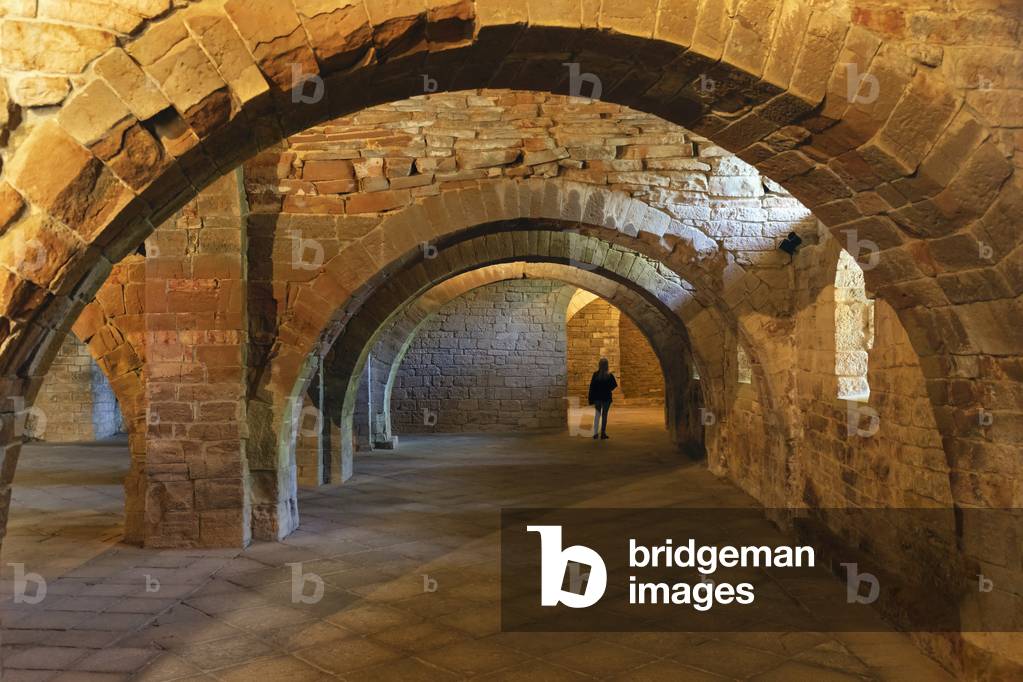 Monastery of San Juan de la Pena, Huesca Province, Spain, 2019 (photo)