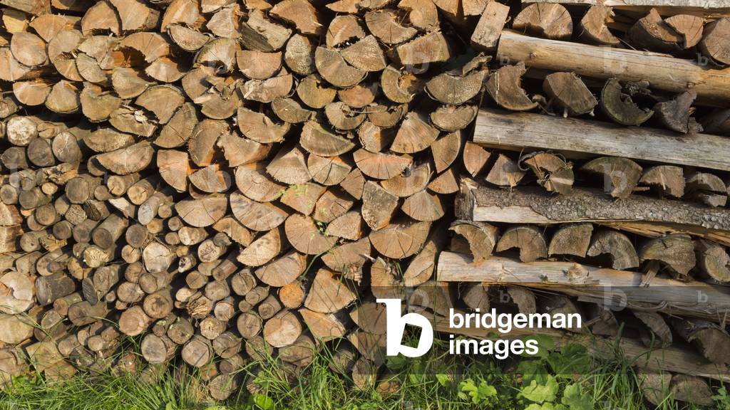 Stack of chopped wood, preparation for winter, Upper Carniola, Slovenia (photo)