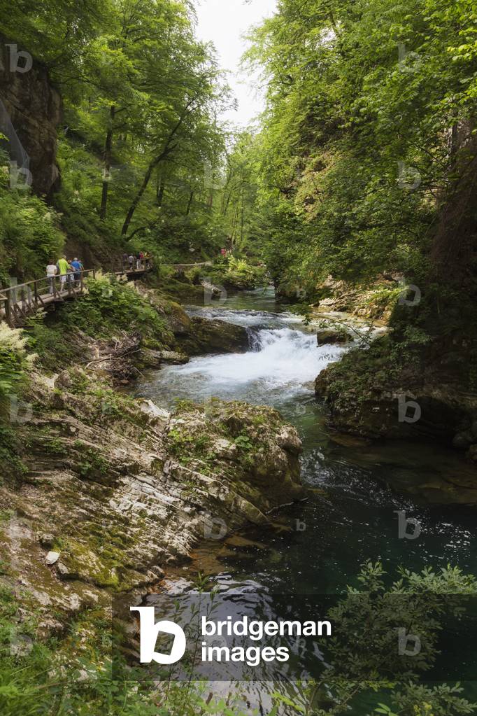 Visitors walking on wooden walkways which run the length of the Vintgar Gorge near Bled, Triglav, National Park, Upper Carniola, Slovenia (photo)