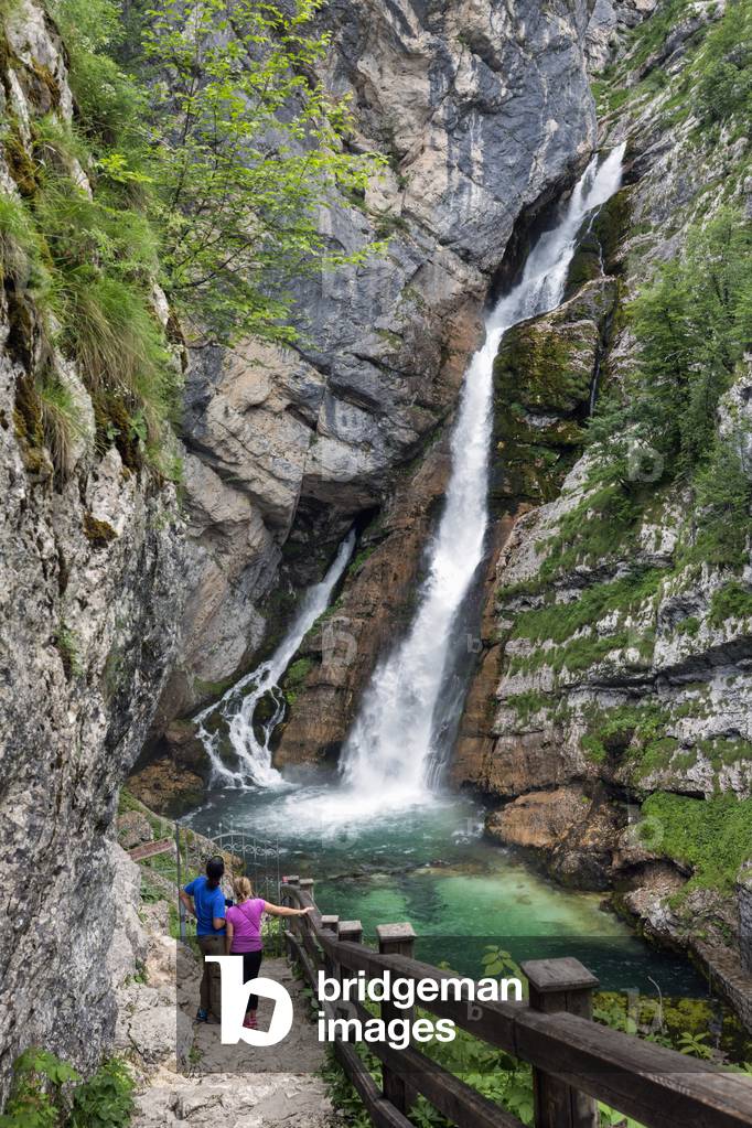 Slovenia., Triglav National Park, Savica waterfall (photo)