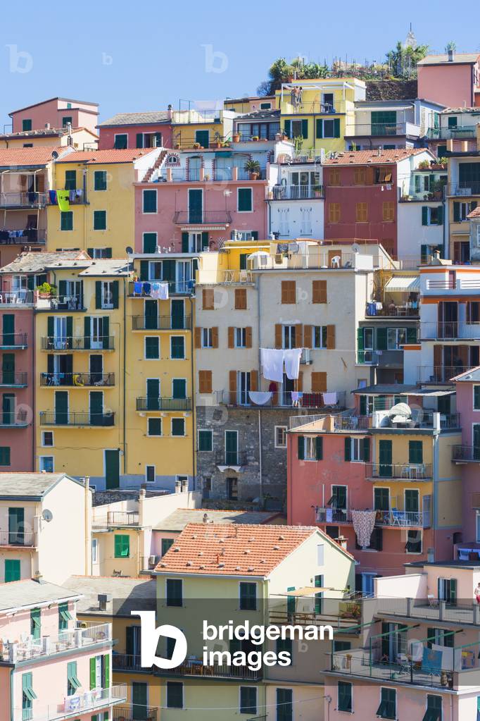 Manarola, La Spezia, Liguria, Italy.  Typical coloured houses (photo)