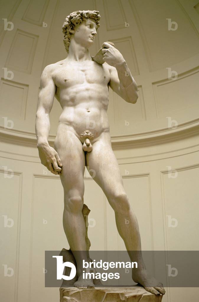 David, 1501-04 (marble)