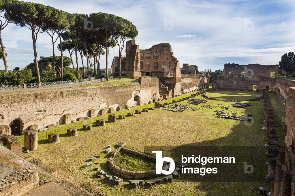 Palatine hill. Flavian Palace, Rome, Italy (photo)