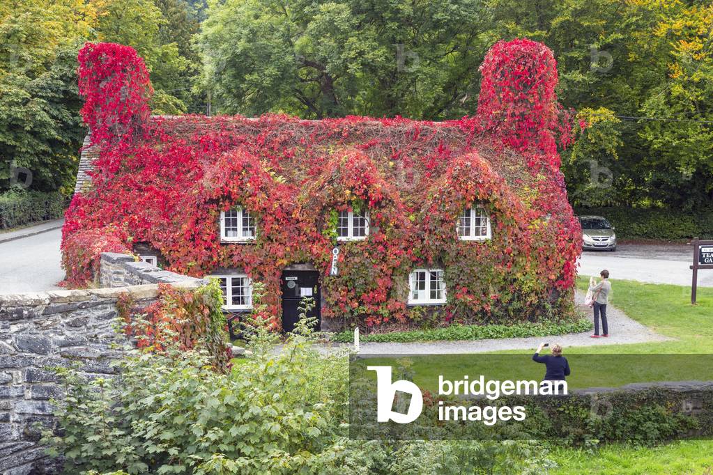 Tu Hwnt i'r Bont tearoom, Llanrwst, Wales, 2013 (photo)