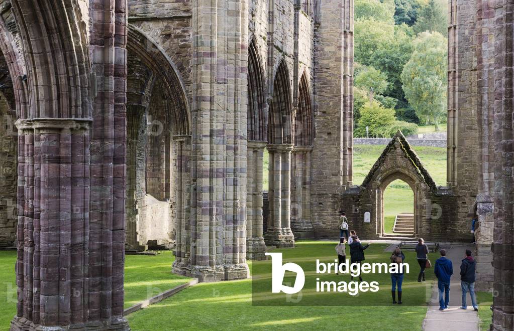 Tintern Abbey, Wales, United Kingdom (photo)