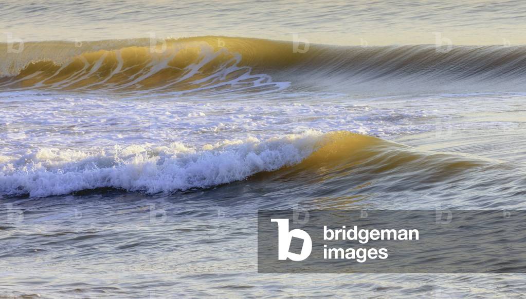 Low sun back lighting breaking waves, Spain, 2018 (photo)